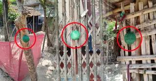 কলারোয়ায় এক বাড়ির তিন জায়গায় ঝুলিয়ে রাখা ‘বোমা সদৃশ’ বস্তু, এলাকায় আতঙ্ক